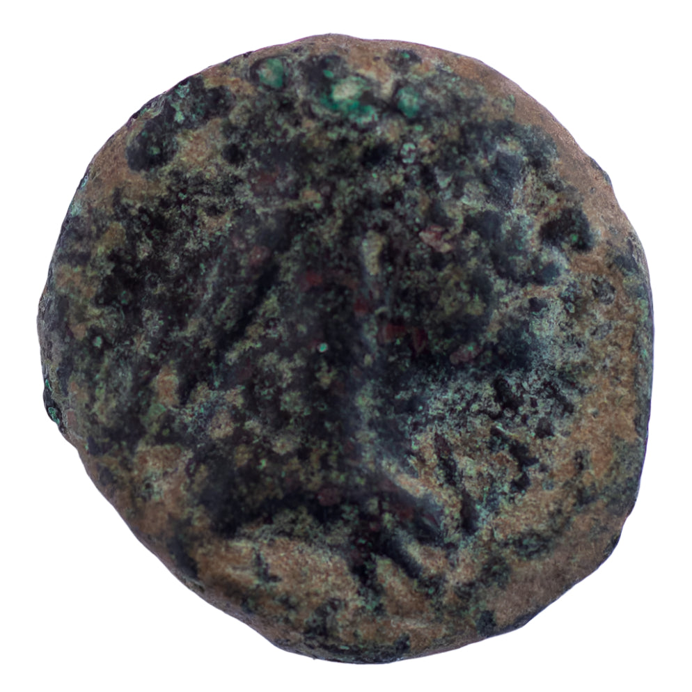 Tigranes II ‘the Great’ (95-56 BC) Æ, Kings of Armenia