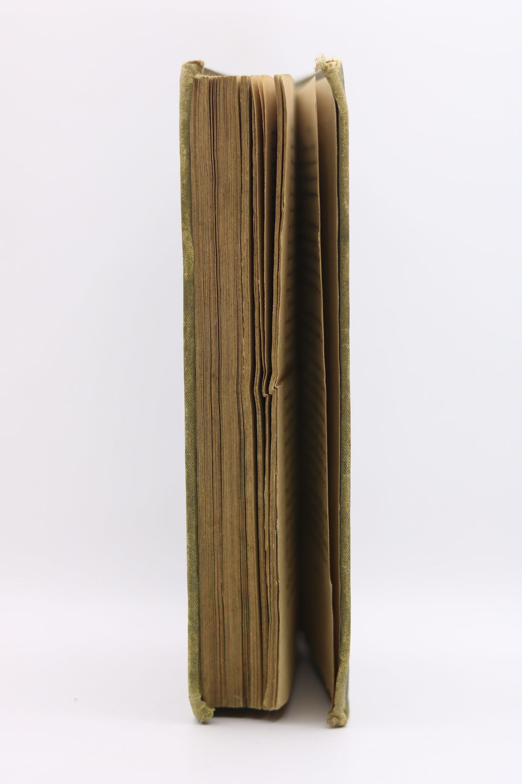 Արաքսիա կամ Վարժուհին, Սրբուհի Տիւսապ 1887 | Araksia or The Schoolmistress by Srbuhi Tyusap 1887