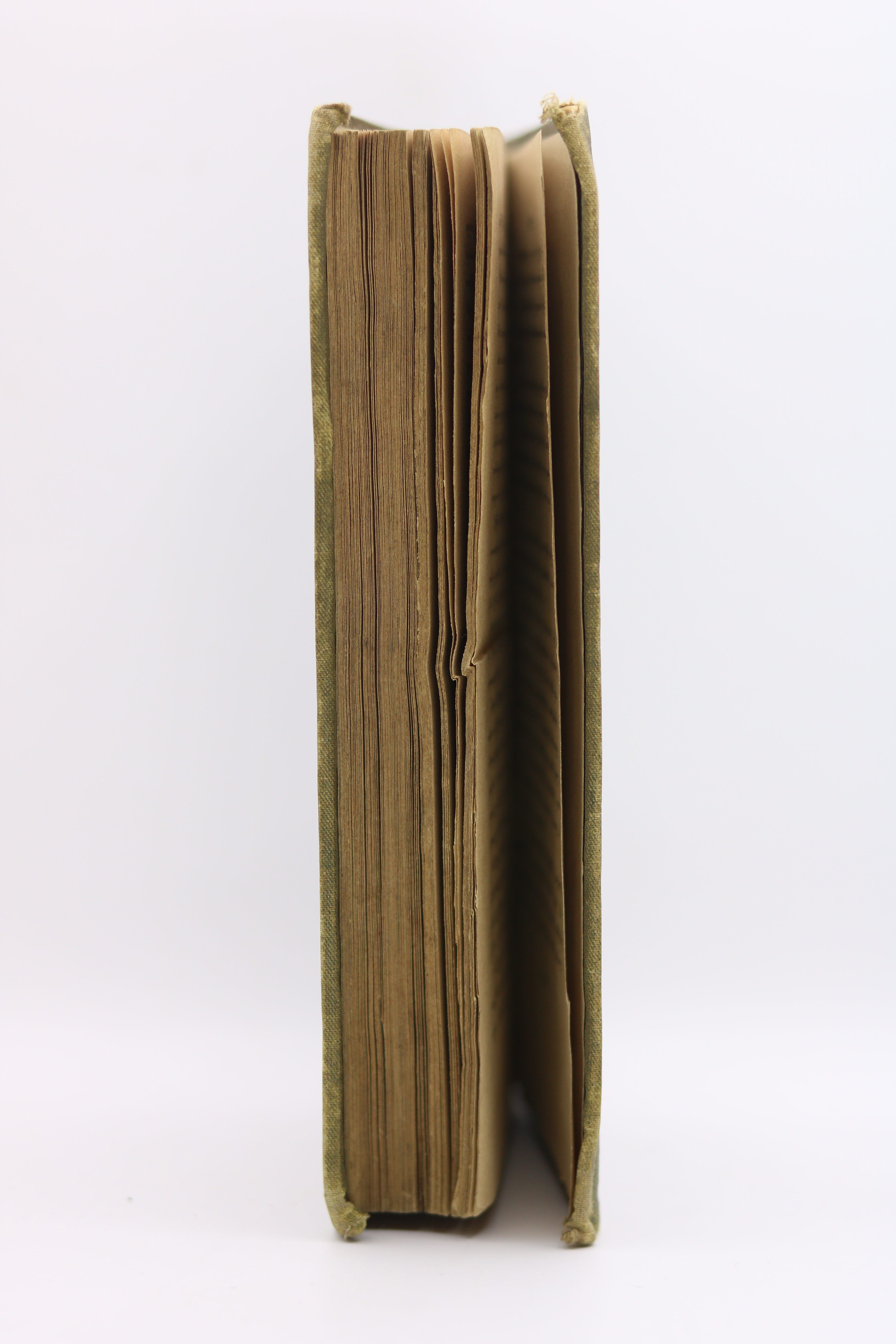 Արաքսիա կամ Վարժուհին, Սրբուհի Տիւսապ 1887 | Araksia or The Schoolmistress by Srbuhi Tyusap 1887